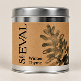 Winter Thyme Candle