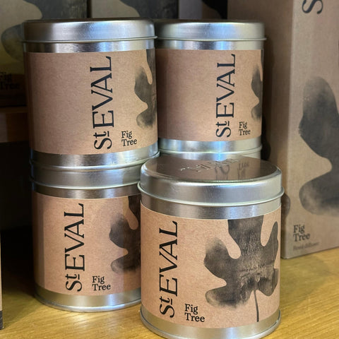 Fresh fig tree candle evoking spicy autumnal forests with fruity and aromatic scents.
