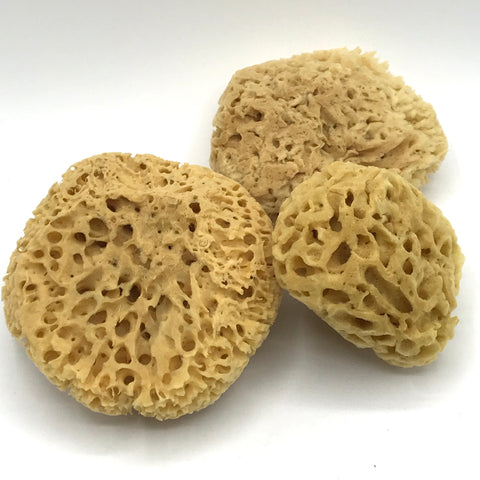 Natural Bath Sponge - Bagel&Griff