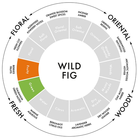 Wild Fig Candle - Bagel&Griff