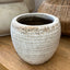 Small White Pot