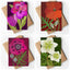 Hannah Day Cards